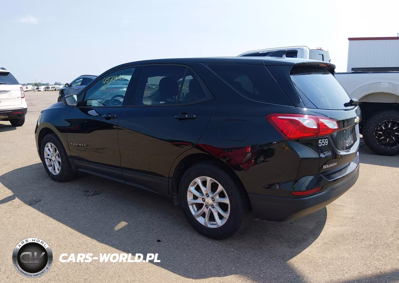 2019 Chevrolet Equinox Ls VIN:2GNAXHEV2K6189996 - 3