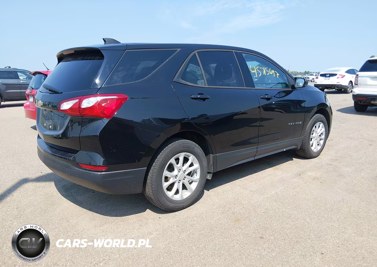 2019 Chevrolet Equinox Ls VIN:2GNAXHEV2K6189996 - 4