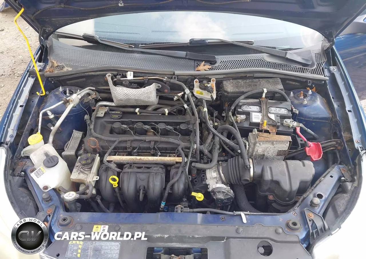 2009 Ford Focus Ses VIN:1FAHP36N69W122381 - 10