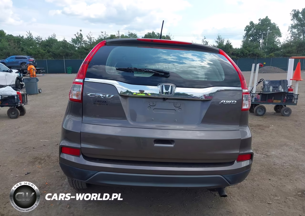 2015 Honda Cr-V Lx VIN:2HKRM4H39FH699318 - 17