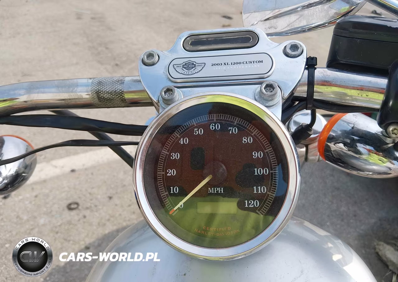 2003 Harley-Davidson Xl1200 C Anniversary VIN:1HD1CGP473K460230 - 7