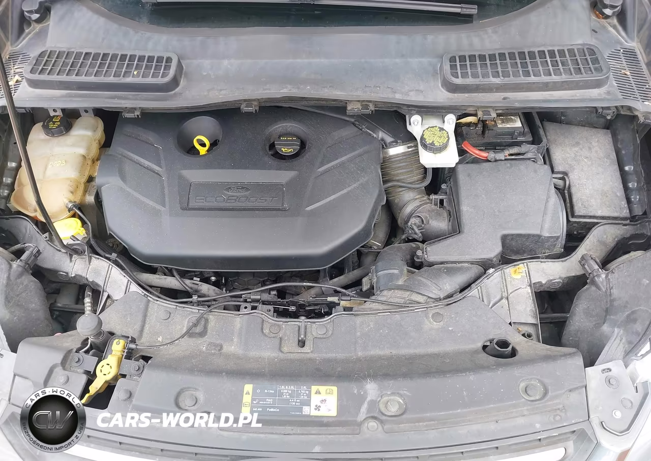 2016 Ford Escape Se VIN:1FMCU0G98GUB03817 - 10