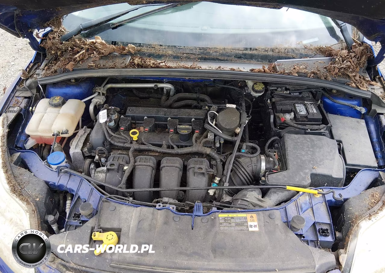 2014 Ford Focus Se VIN:1FADP3K22EL204713 - 10