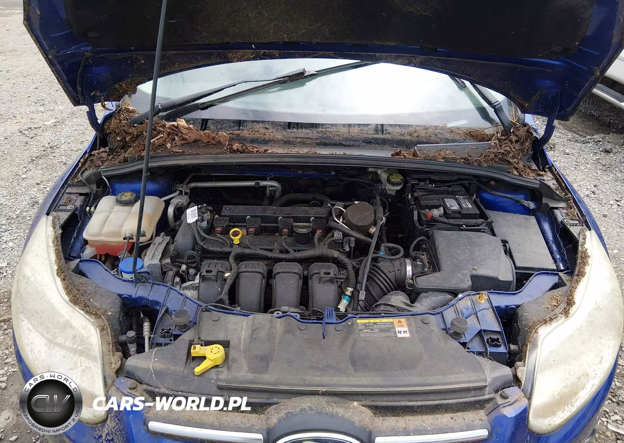 2014 Ford Focus Se VIN:1FADP3K22EL204713 - 6