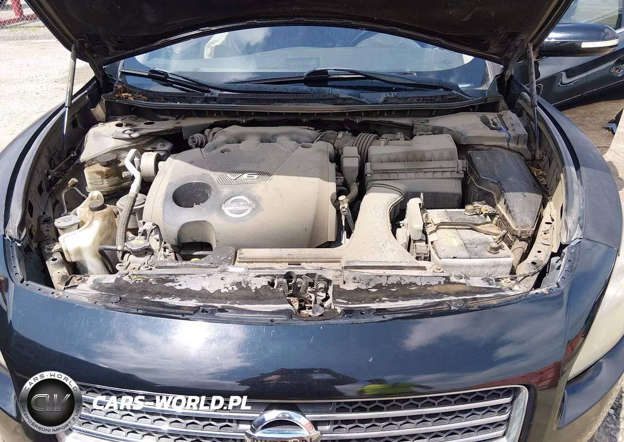 2014 Nissan Maxima 3.5 Sv VIN:1N4AA5AP1EC493824 - 10