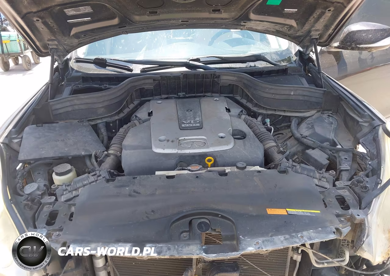 2016 Infiniti Qx50 VIN:JN1BJ0RP3GM234841 - 10
