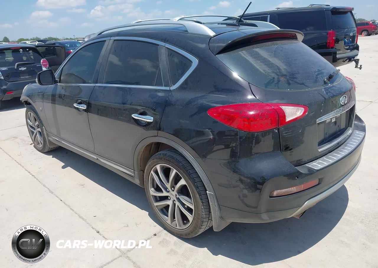 2016 Infiniti Qx50 VIN:JN1BJ0RP3GM234841 - 3