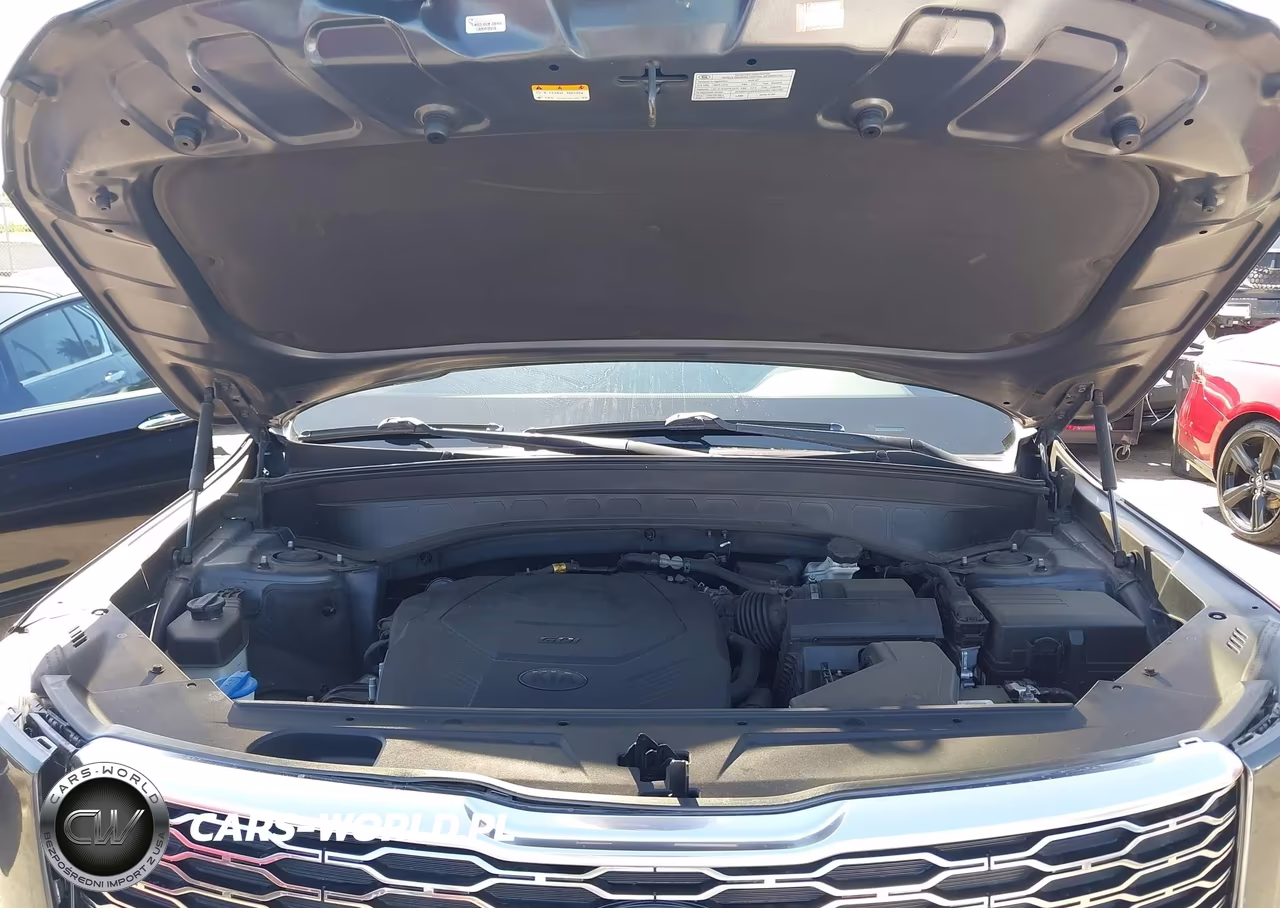 2020 Kia Telluride S VIN:5XYP64HC1LG033168 - 10