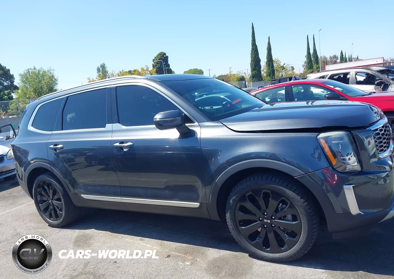 2020 Kia Telluride S VIN:5XYP64HC1LG033168 - 13