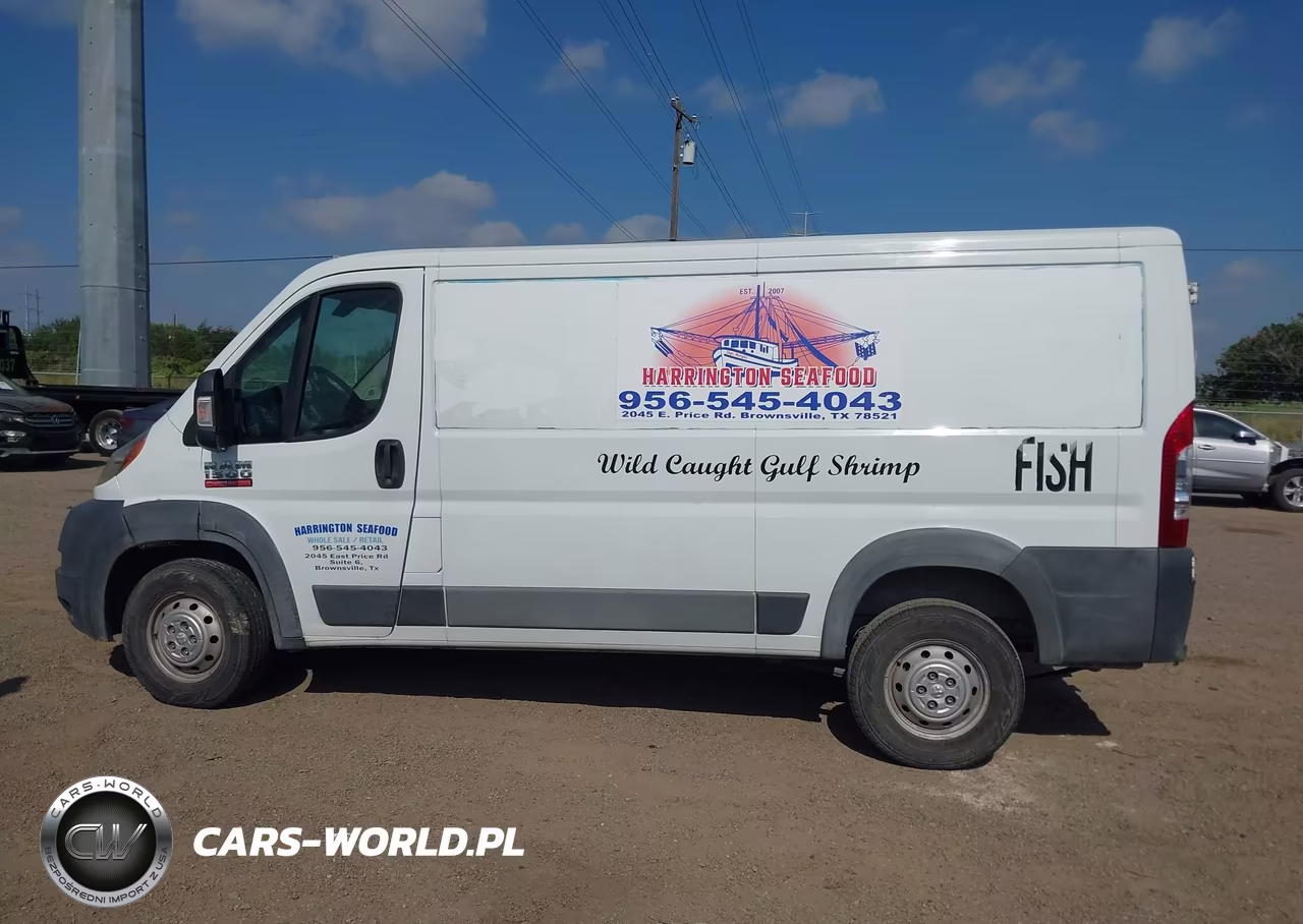 2016 Ram Promaster 1500 Low Roof VIN:3C6TRVAG4GE106603 - 14