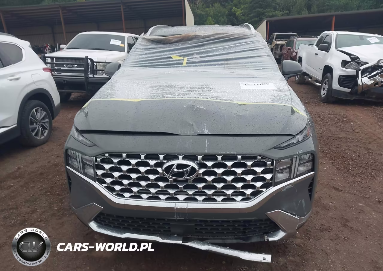 2021 Hyundai Santa Fe Sel VIN:5NMS2DAJ3MH328116 - 12