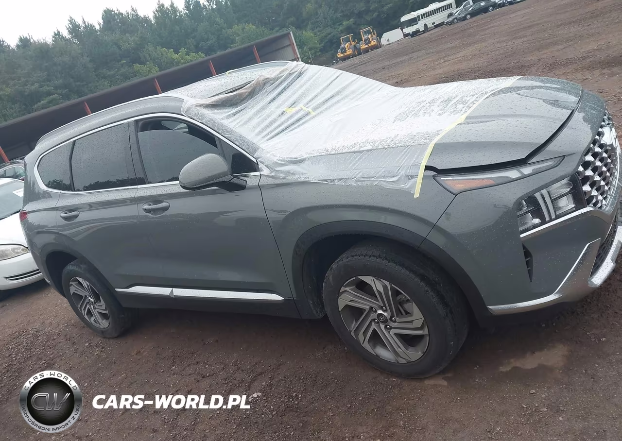 2021 Hyundai Santa Fe Sel VIN:5NMS2DAJ3MH328116 - 13