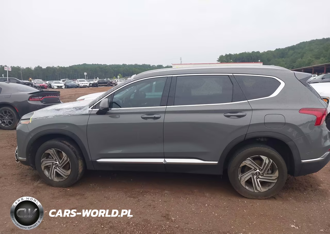 2021 Hyundai Santa Fe Sel VIN:5NMS2DAJ3MH328116 - 14
