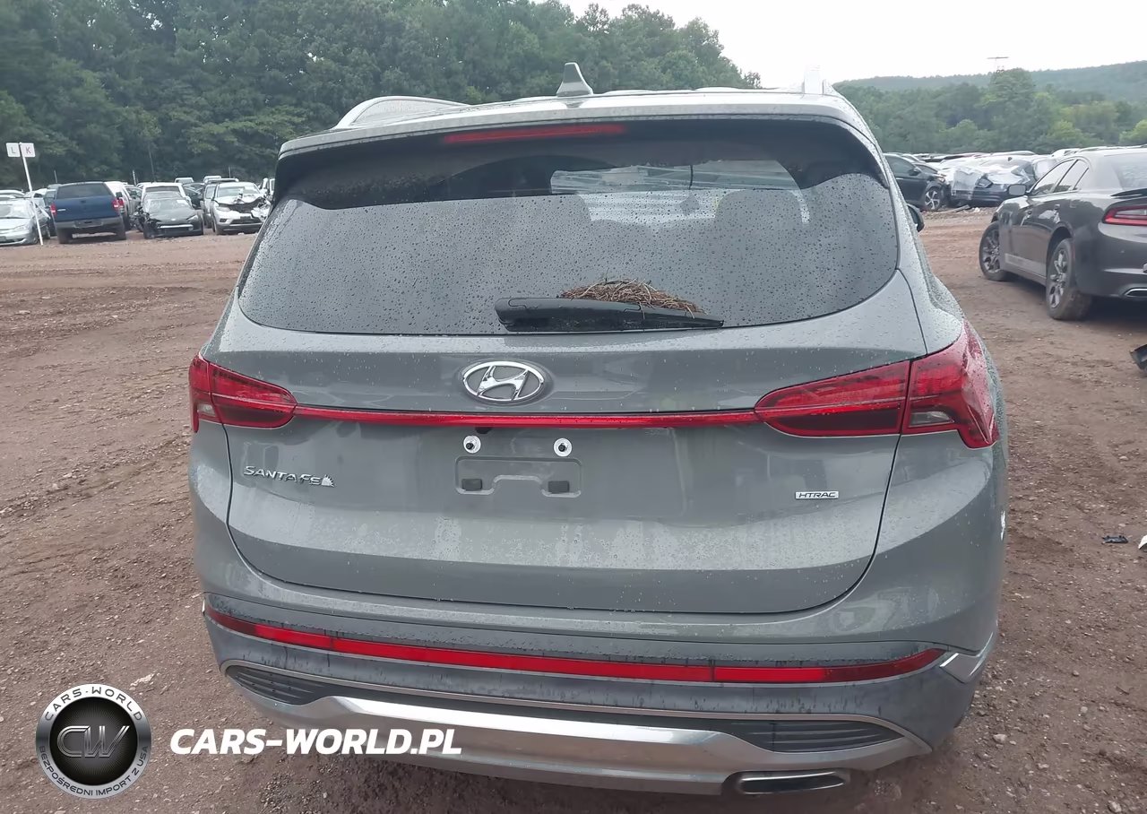 2021 Hyundai Santa Fe Sel VIN:5NMS2DAJ3MH328116 - 16