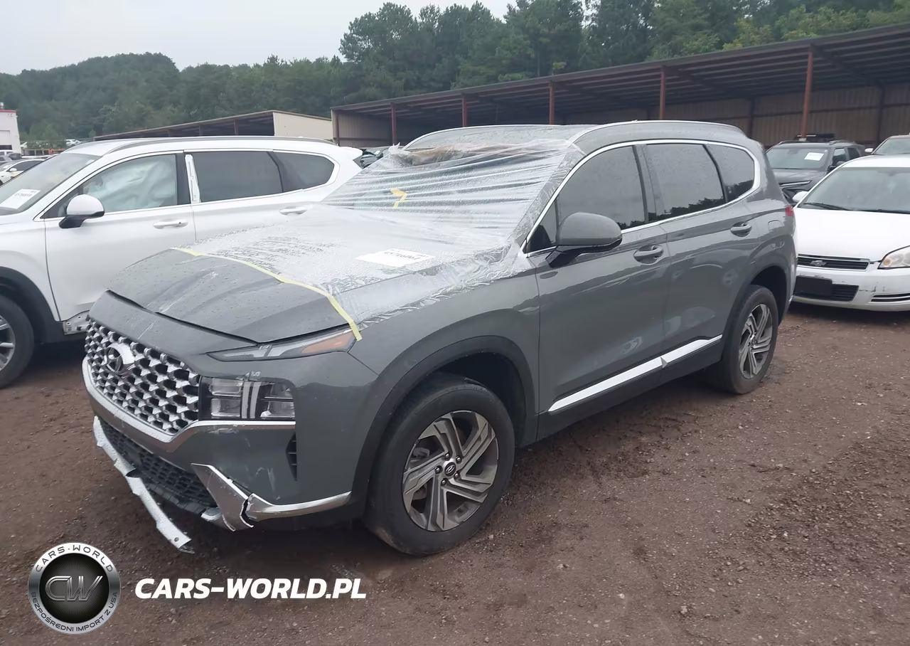 2021 Hyundai Santa Fe Sel VIN:5NMS2DAJ3MH328116 - 2