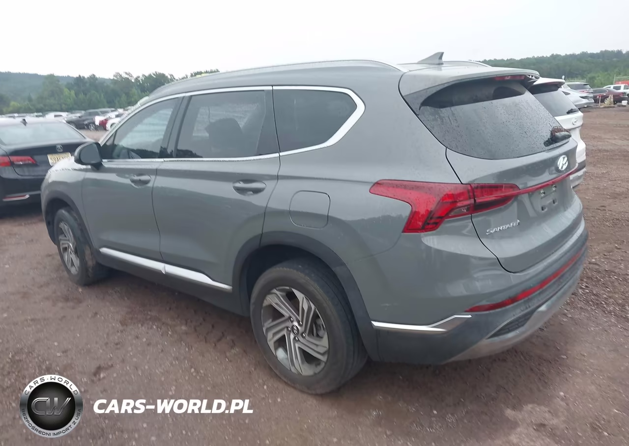 2021 Hyundai Santa Fe Sel VIN:5NMS2DAJ3MH328116 - 3