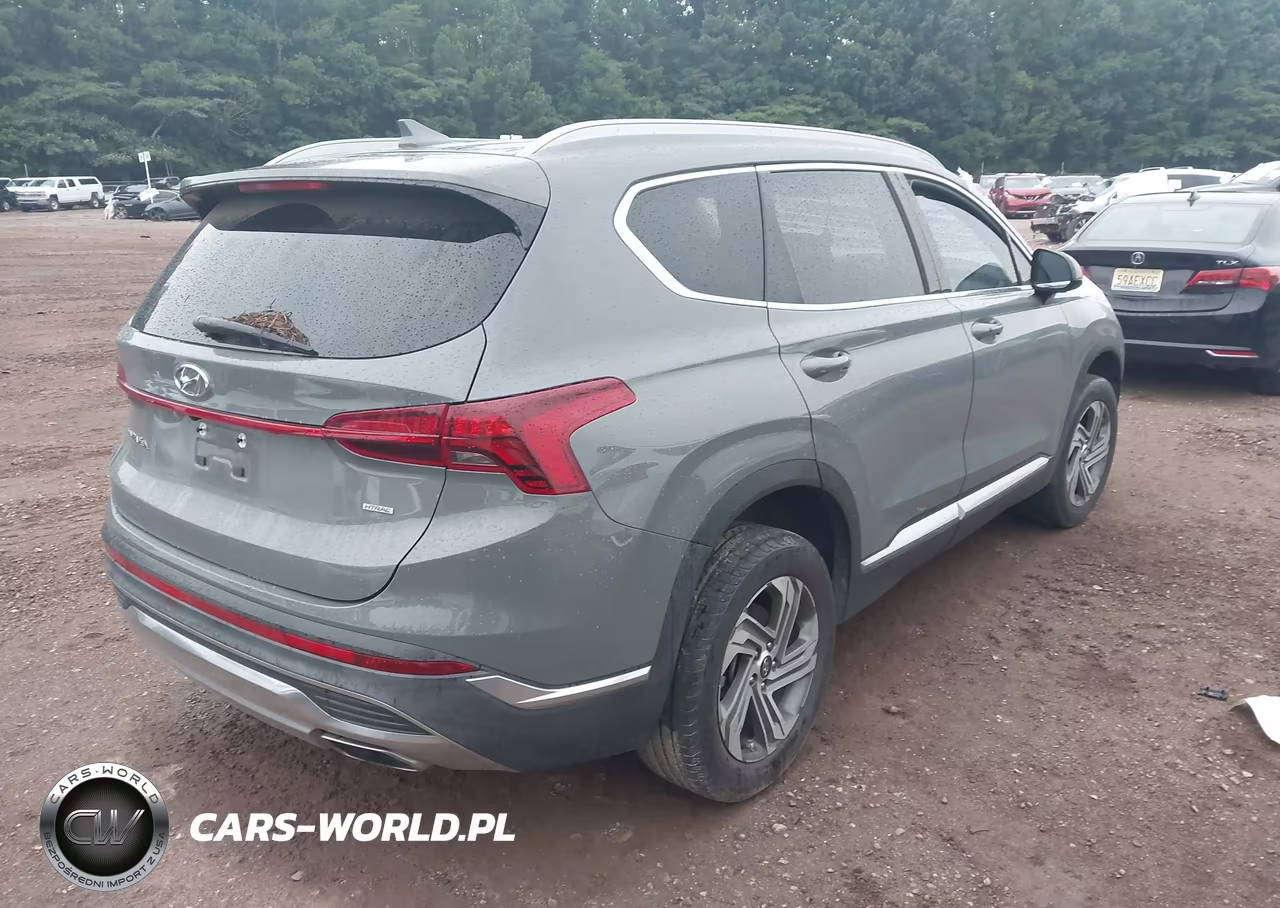 2021 Hyundai Santa Fe Sel VIN:5NMS2DAJ3MH328116 - 4