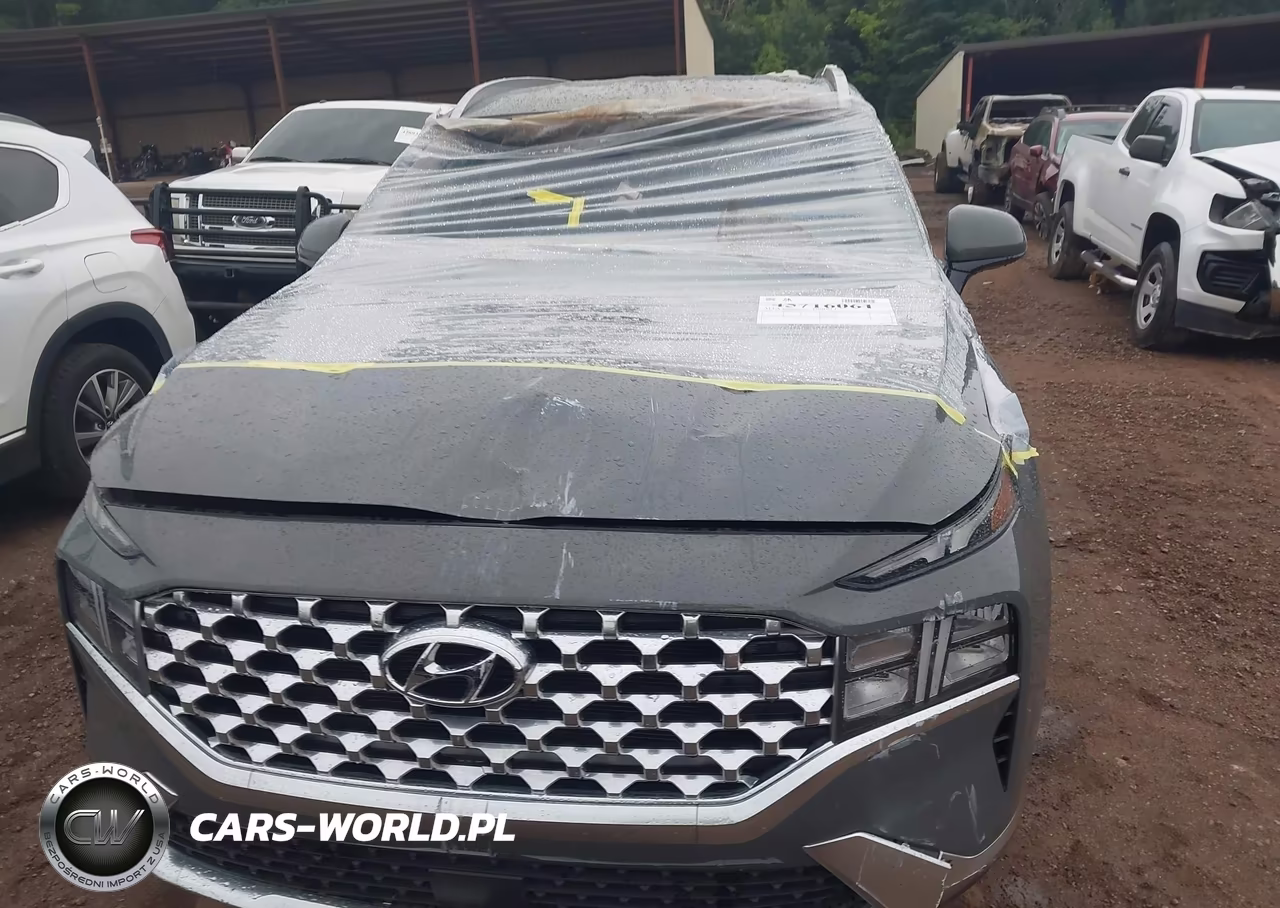 2021 Hyundai Santa Fe Sel VIN:5NMS2DAJ3MH328116 - 6