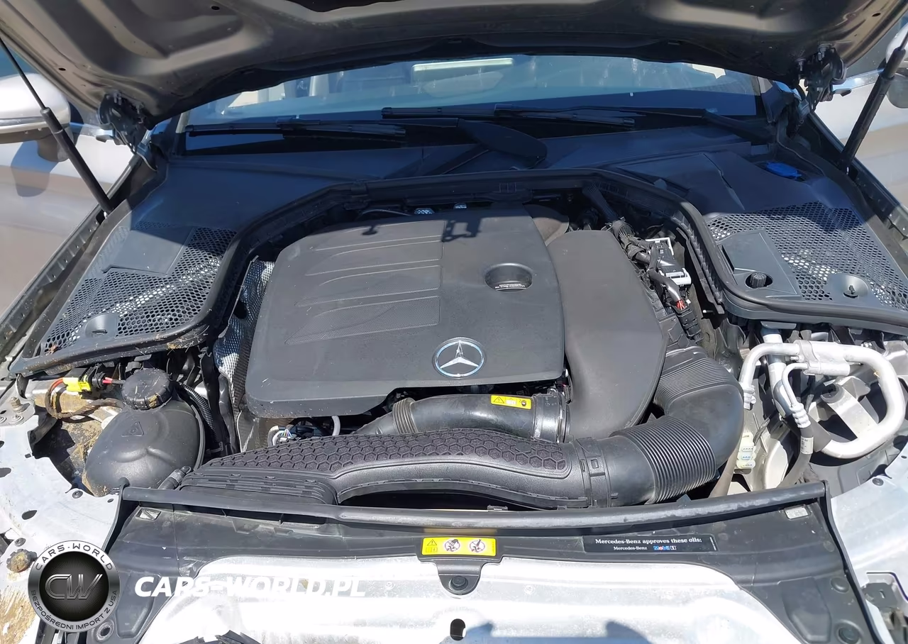 2019 Mercedes-Benz C 300 VIN:WDDWK8DB9KF856319 - 10