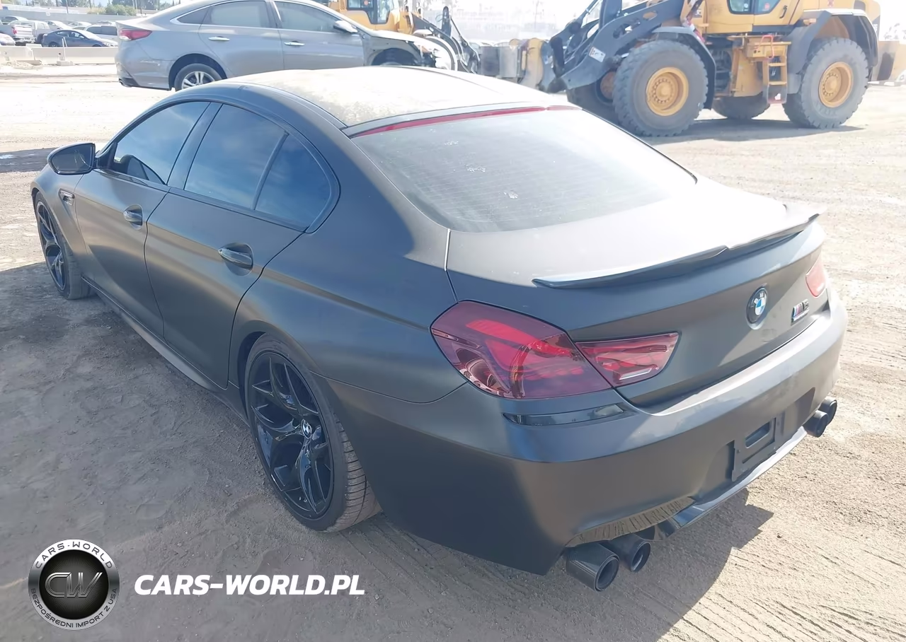 2017 BMW M6 Gran Coupe VIN:WBS6E9C51HG437329 - 3