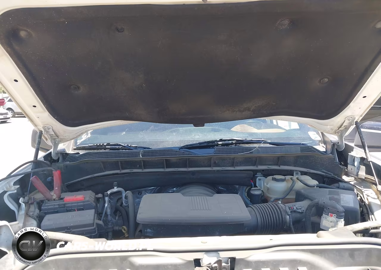 2019 Chevrolet Silverado 1500 Lt Trail Boss VIN:3GCPYFED1KG182697 - 10