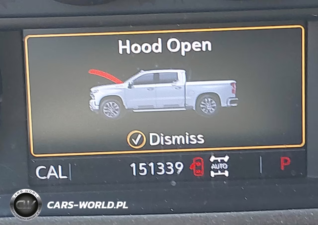 2019 Chevrolet Silverado 1500 Lt Trail Boss VIN:3GCPYFED1KG182697 - 15