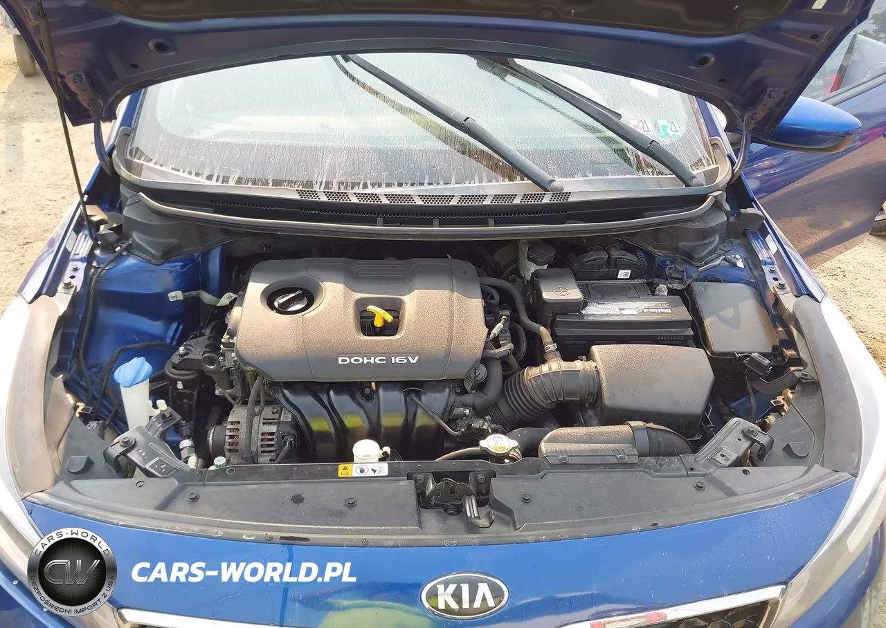 2017 Kia Forte S VIN:3KPFL4A72HE112032 - 10