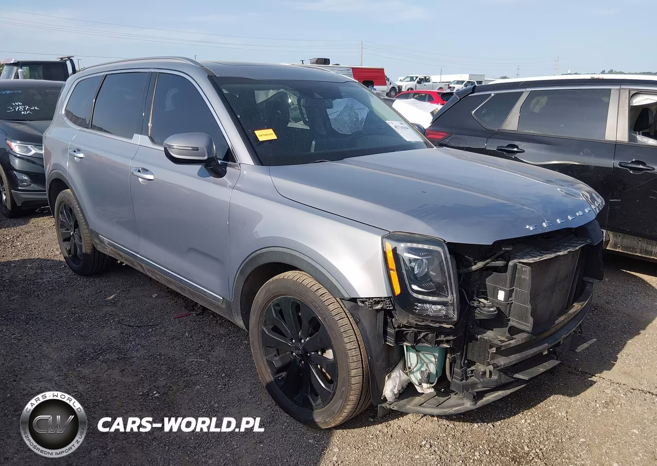 2020 Kia Telluride S VIN:5XYP64HC1LG053470 - 13