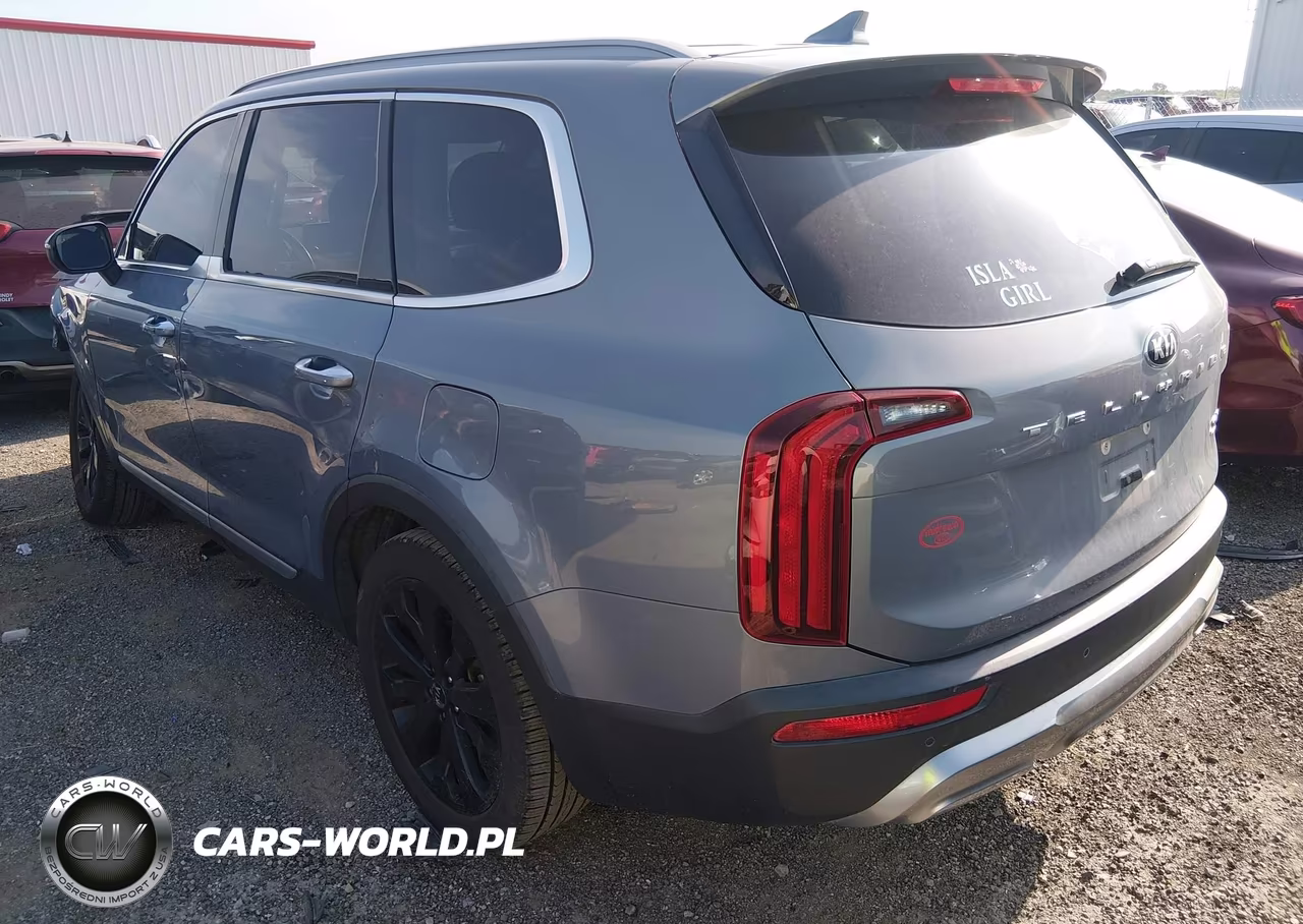 2020 Kia Telluride S VIN:5XYP64HC1LG053470 - 3