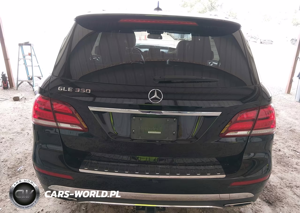 2017 Mercedes-Benz Gle 350 VIN:4JGDA5JB3HA817542 - 16