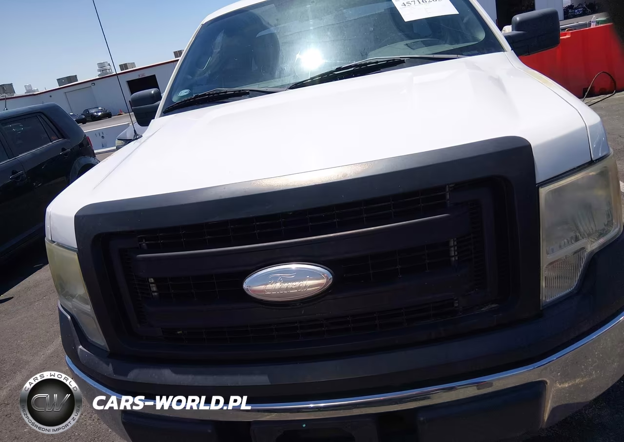 2013 Ford F-150 Xl VIN:1FTNF1CF2DKF79965 - 12