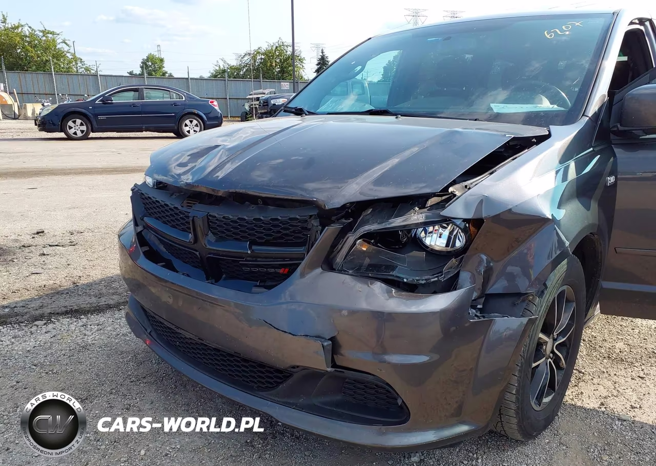 2014 Dodge Grand Caravan Se 30Th Anniversary VIN:2C4RDGBG0ER299064 - 6