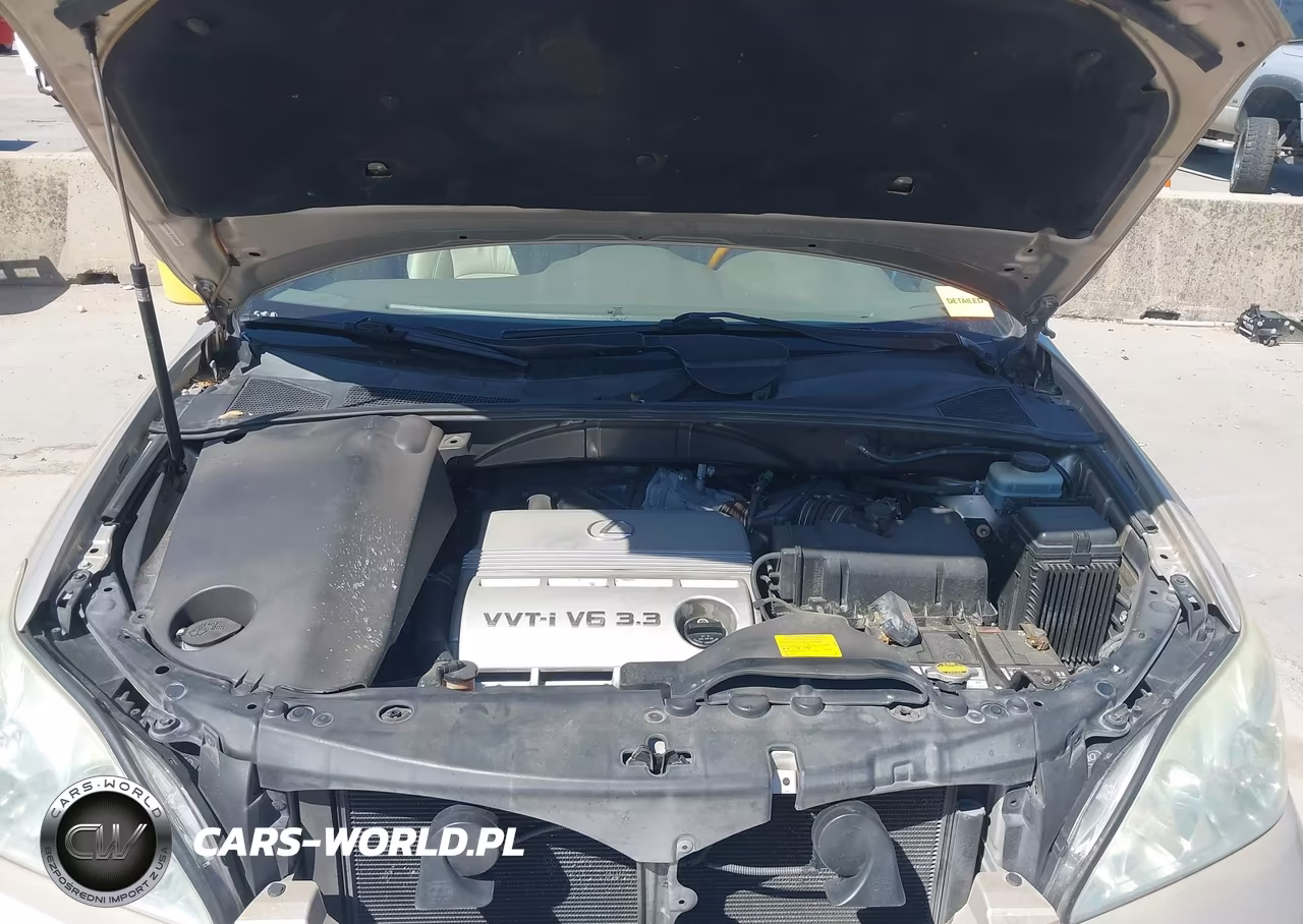 2004 Lexus Rx 330 VIN:JTJGA31U840024239 - 10