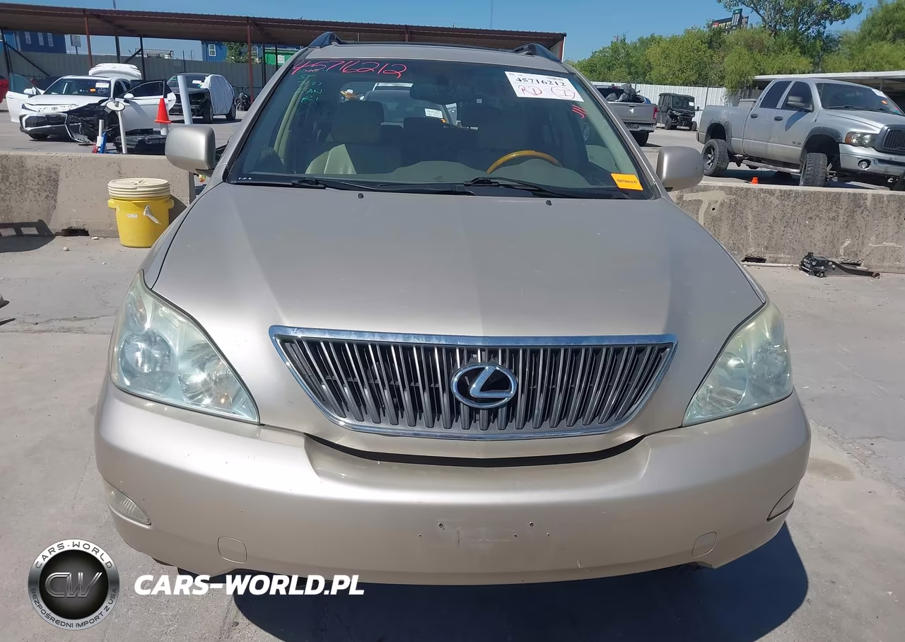 2004 Lexus Rx 330 VIN:JTJGA31U840024239 - 11