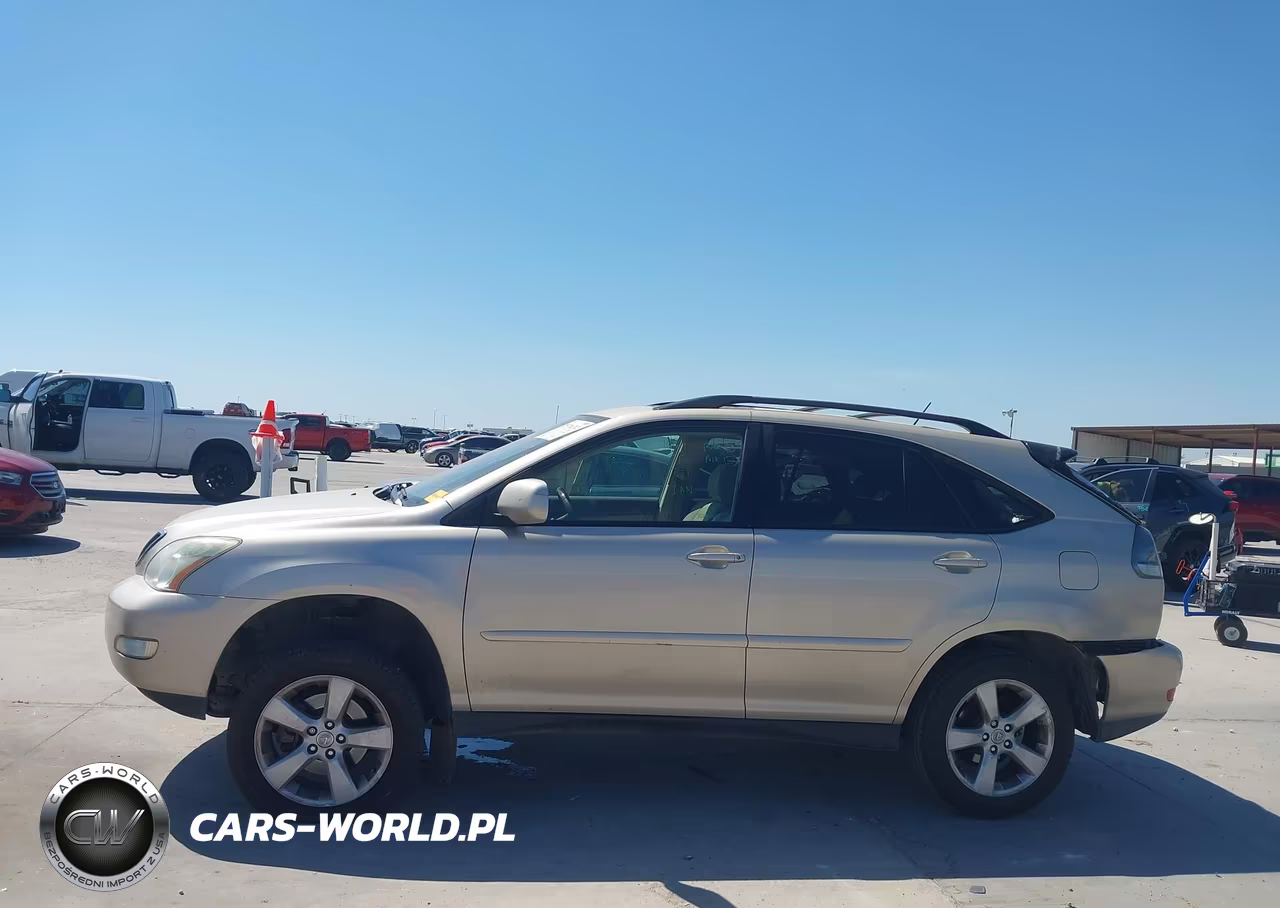 2004 Lexus Rx 330 VIN:JTJGA31U840024239 - 13