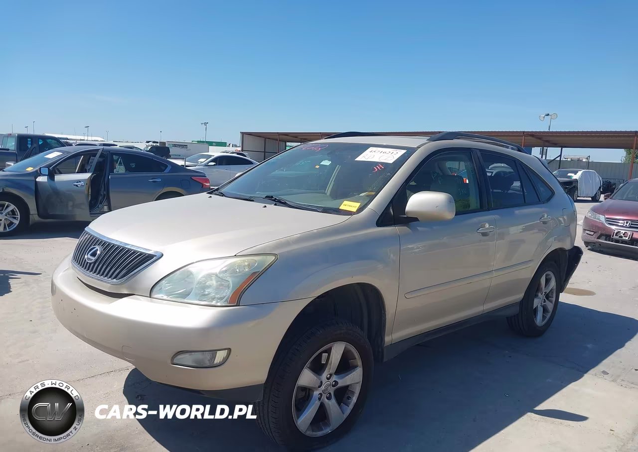 2004 Lexus Rx 330 VIN:JTJGA31U840024239 - 2