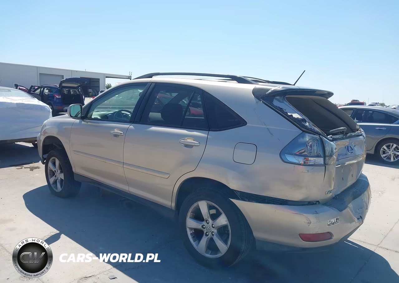 2004 Lexus Rx 330 VIN:JTJGA31U840024239 - 3