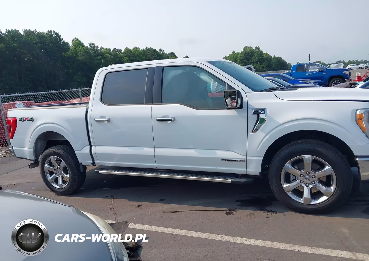 2023 Ford F-150 Xlt VIN:1FTFW1EDXPFC84030 - 13