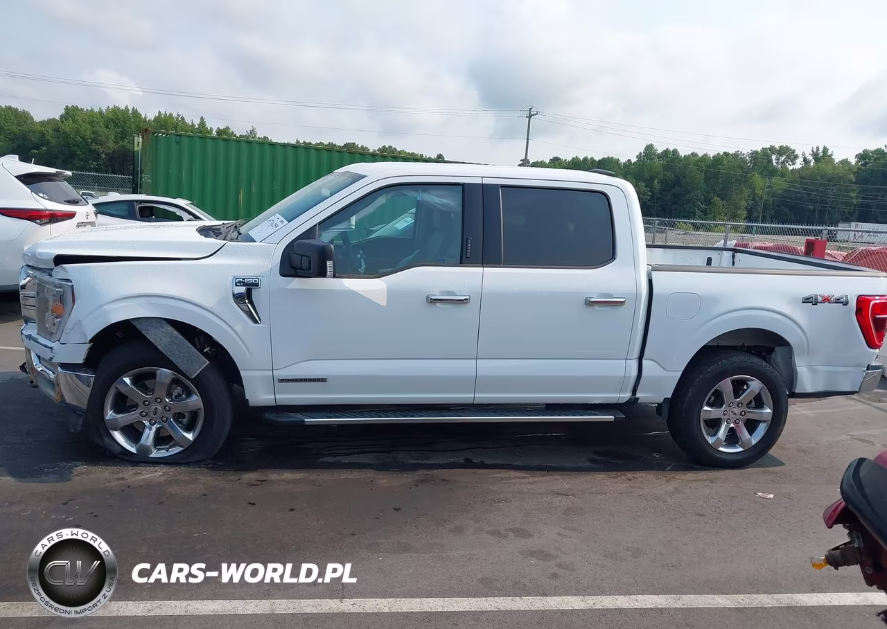 2023 Ford F-150 Xlt VIN:1FTFW1EDXPFC84030 - 14
