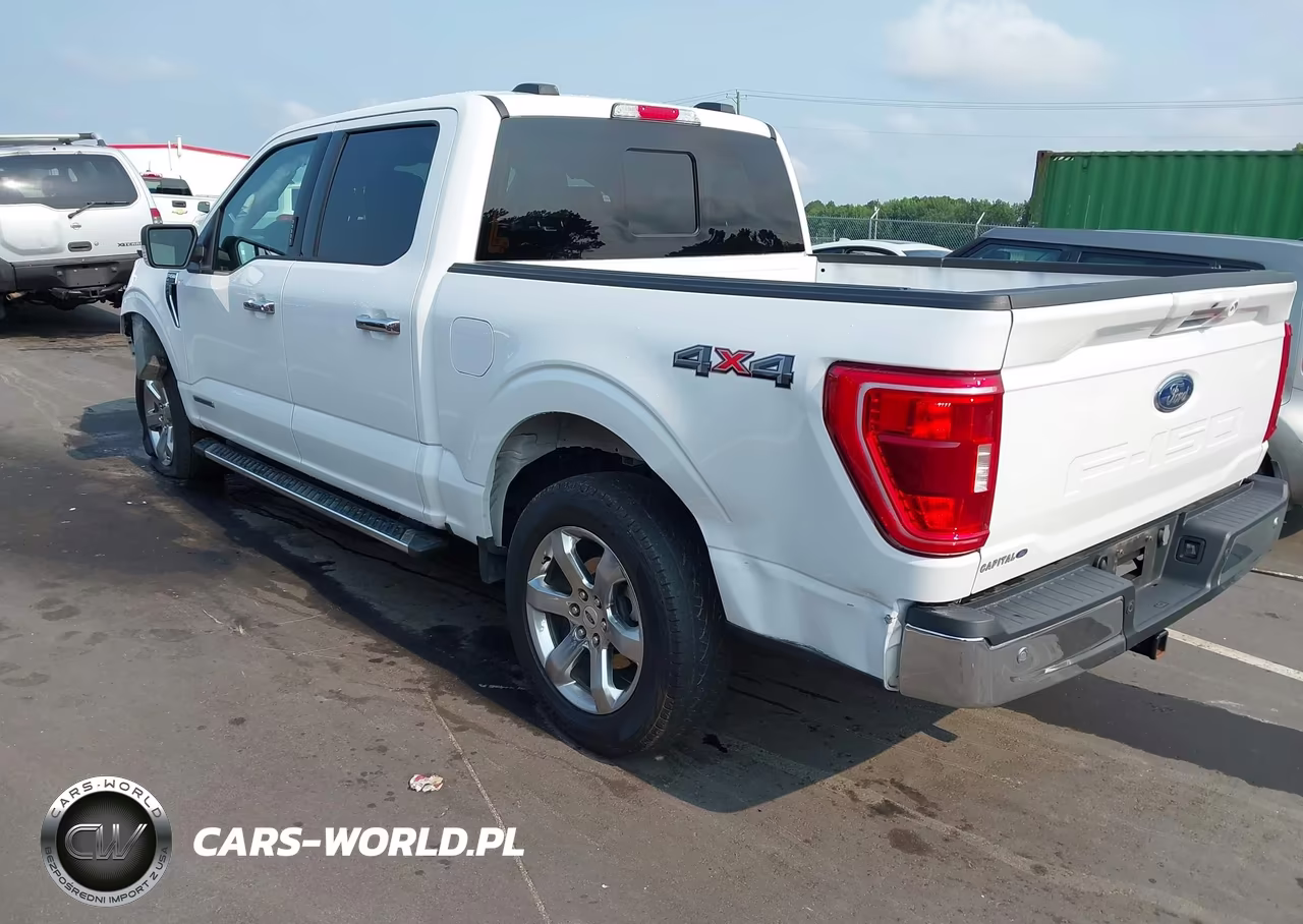 2023 Ford F-150 Xlt VIN:1FTFW1EDXPFC84030 - 3