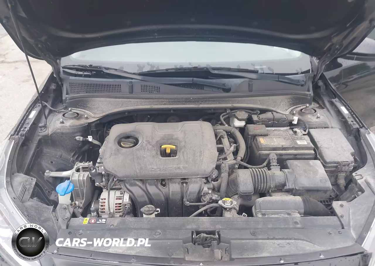 2019 Kia Forte Fe VIN:3KPF24AD5KE073162 - 10