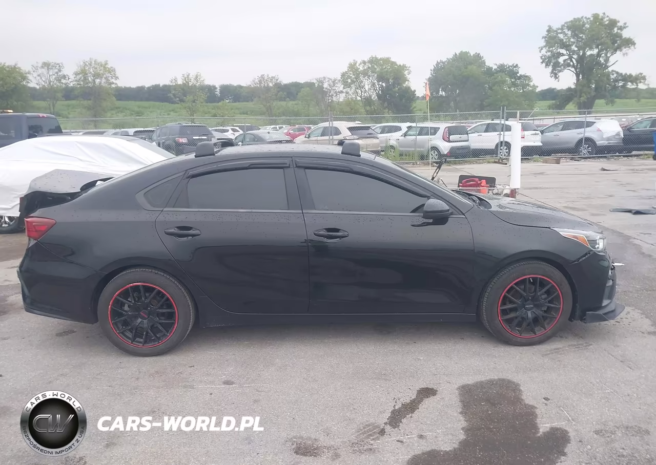 2019 Kia Forte Fe VIN:3KPF24AD5KE073162 - 13