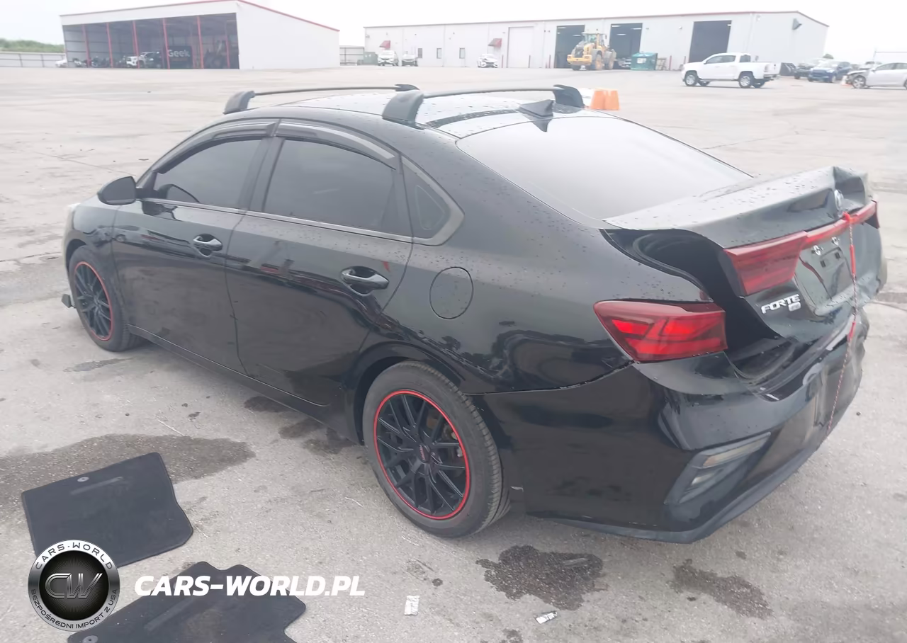 2019 Kia Forte Fe VIN:3KPF24AD5KE073162 - 3