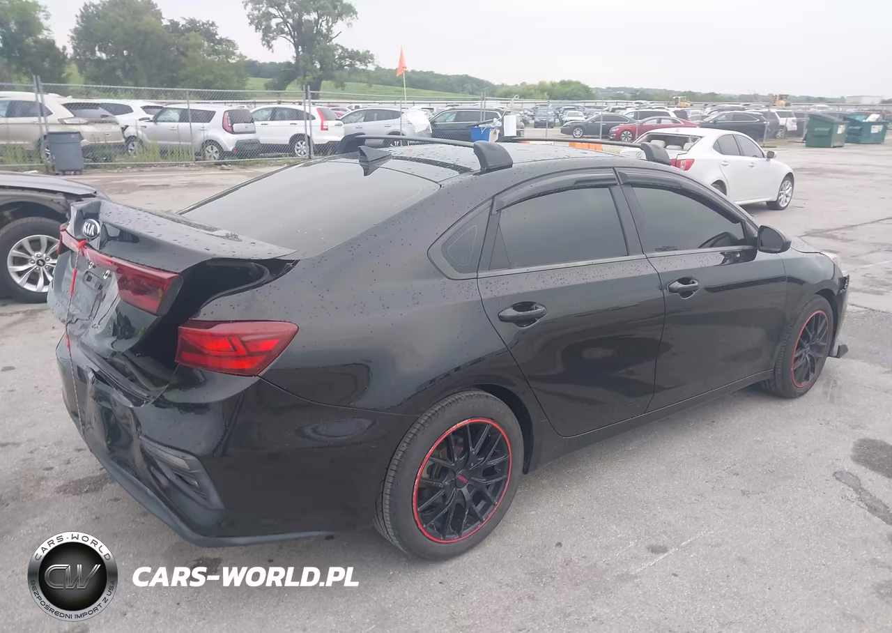 2019 Kia Forte Fe VIN:3KPF24AD5KE073162 - 4