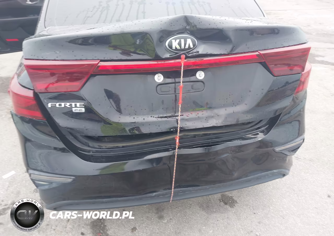 2019 Kia Forte Fe VIN:3KPF24AD5KE073162 - 6