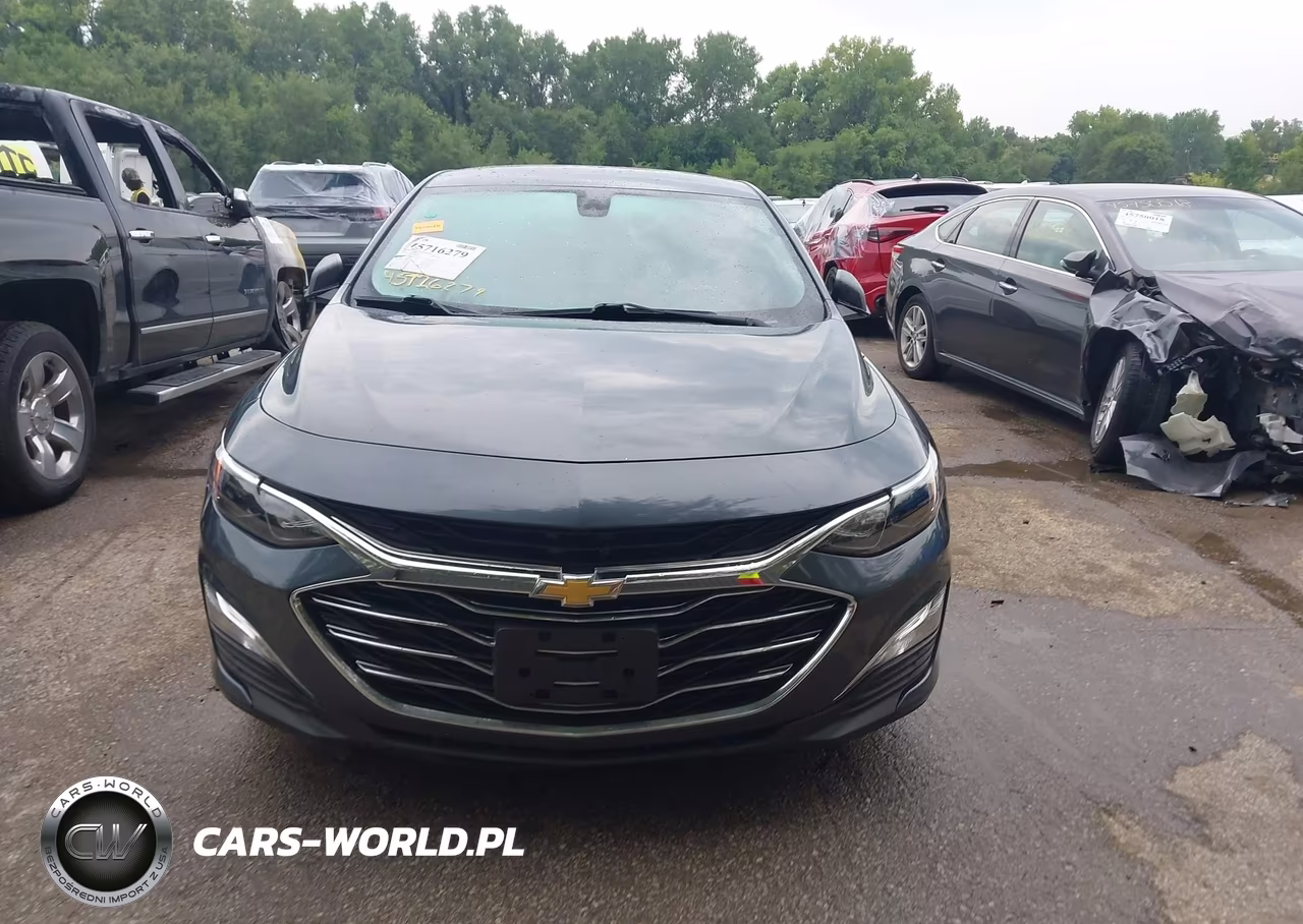 2019 Chevrolet Malibu 1Fl VIN:1G1ZC5ST0KF179653 - 12