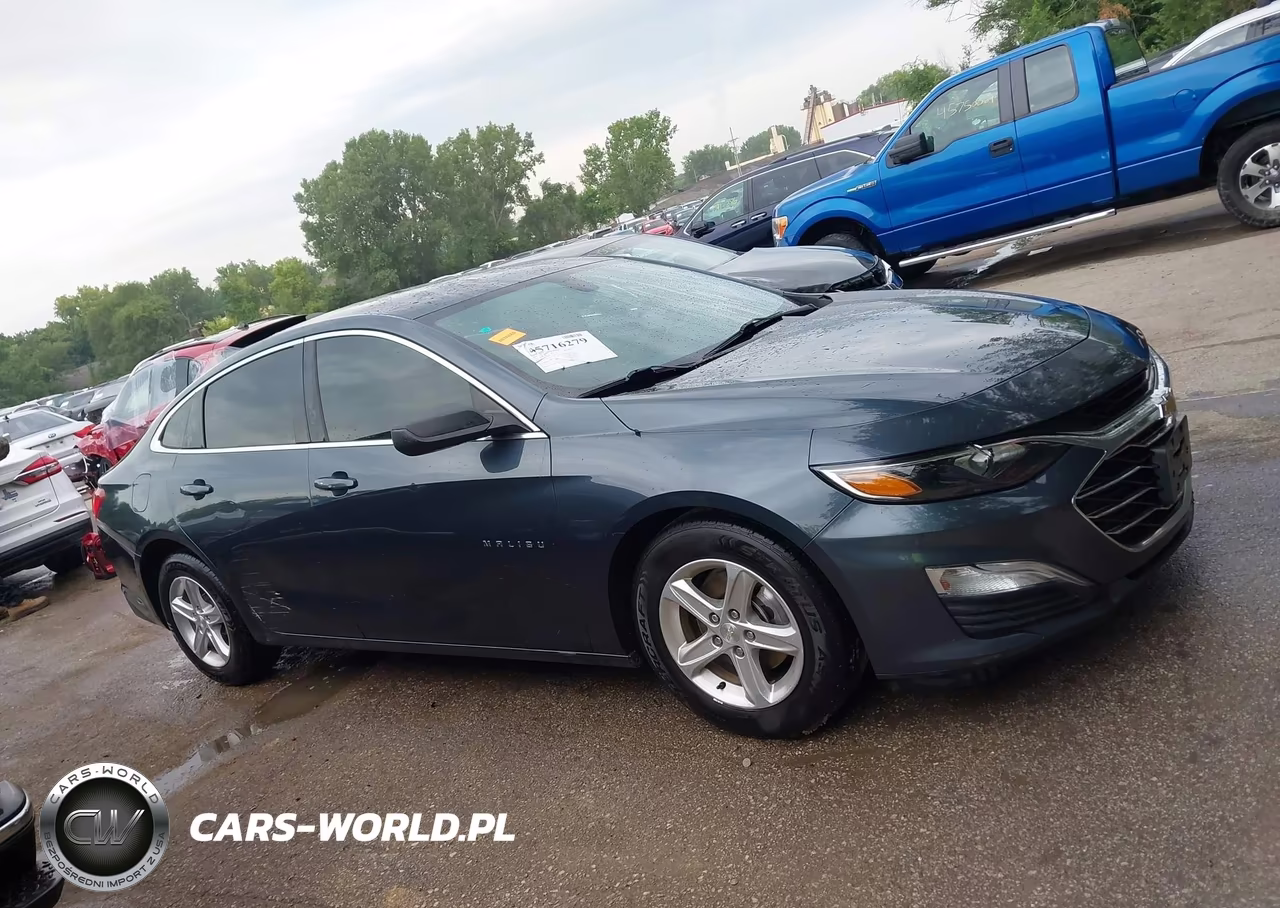 2019 Chevrolet Malibu 1Fl VIN:1G1ZC5ST0KF179653 - 13