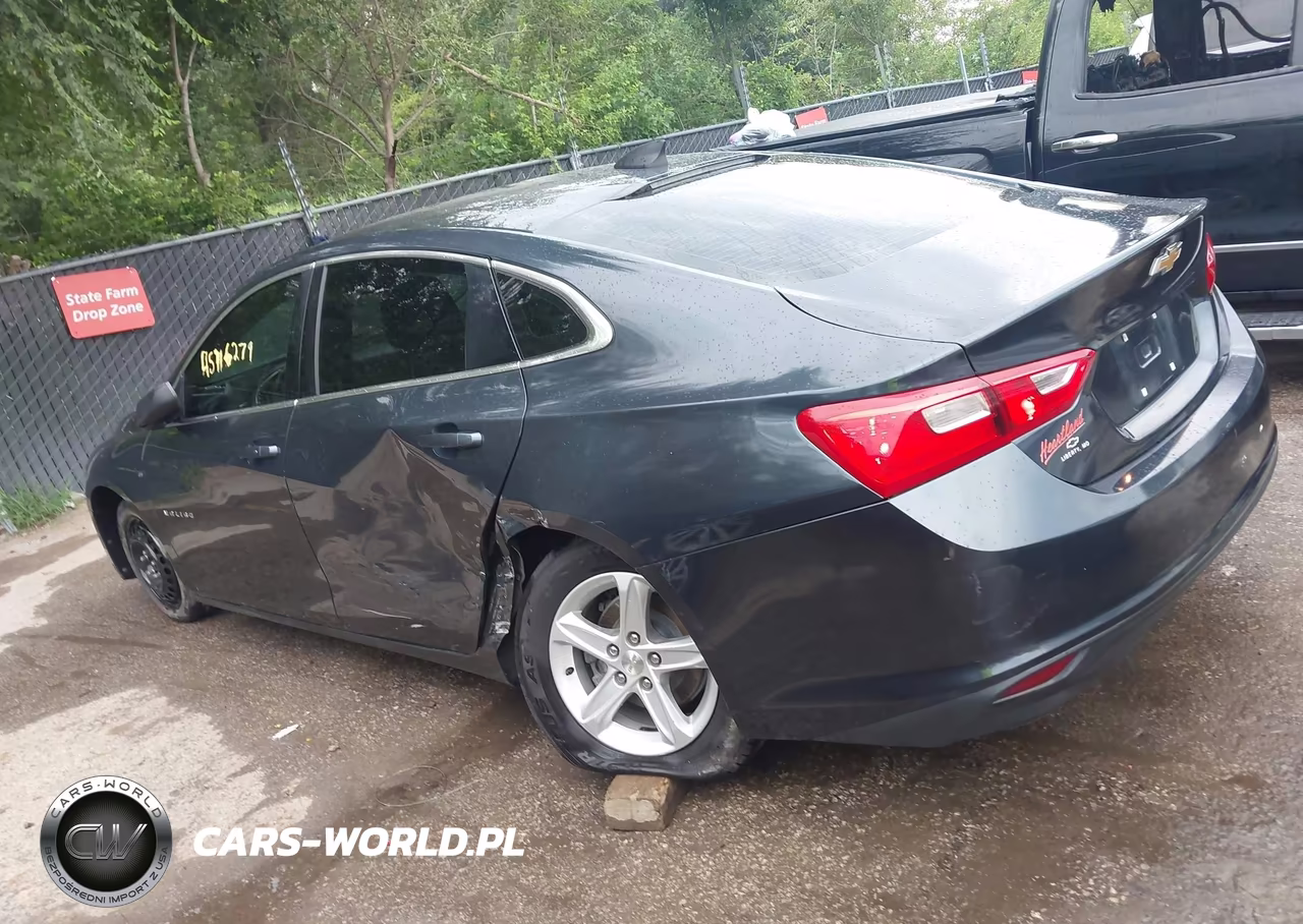 2019 Chevrolet Malibu 1Fl VIN:1G1ZC5ST0KF179653 - 14