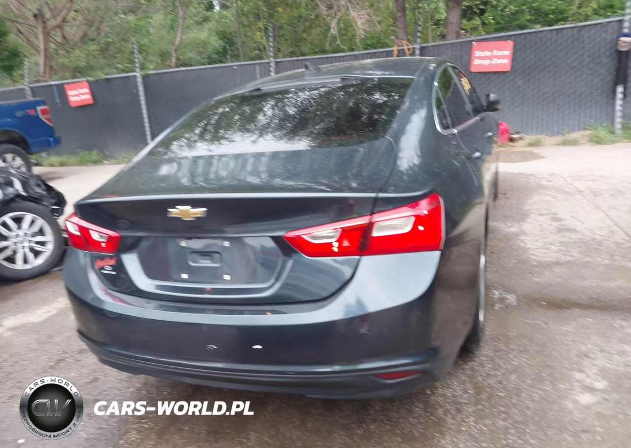 2019 Chevrolet Malibu 1Fl VIN:1G1ZC5ST0KF179653 - 16