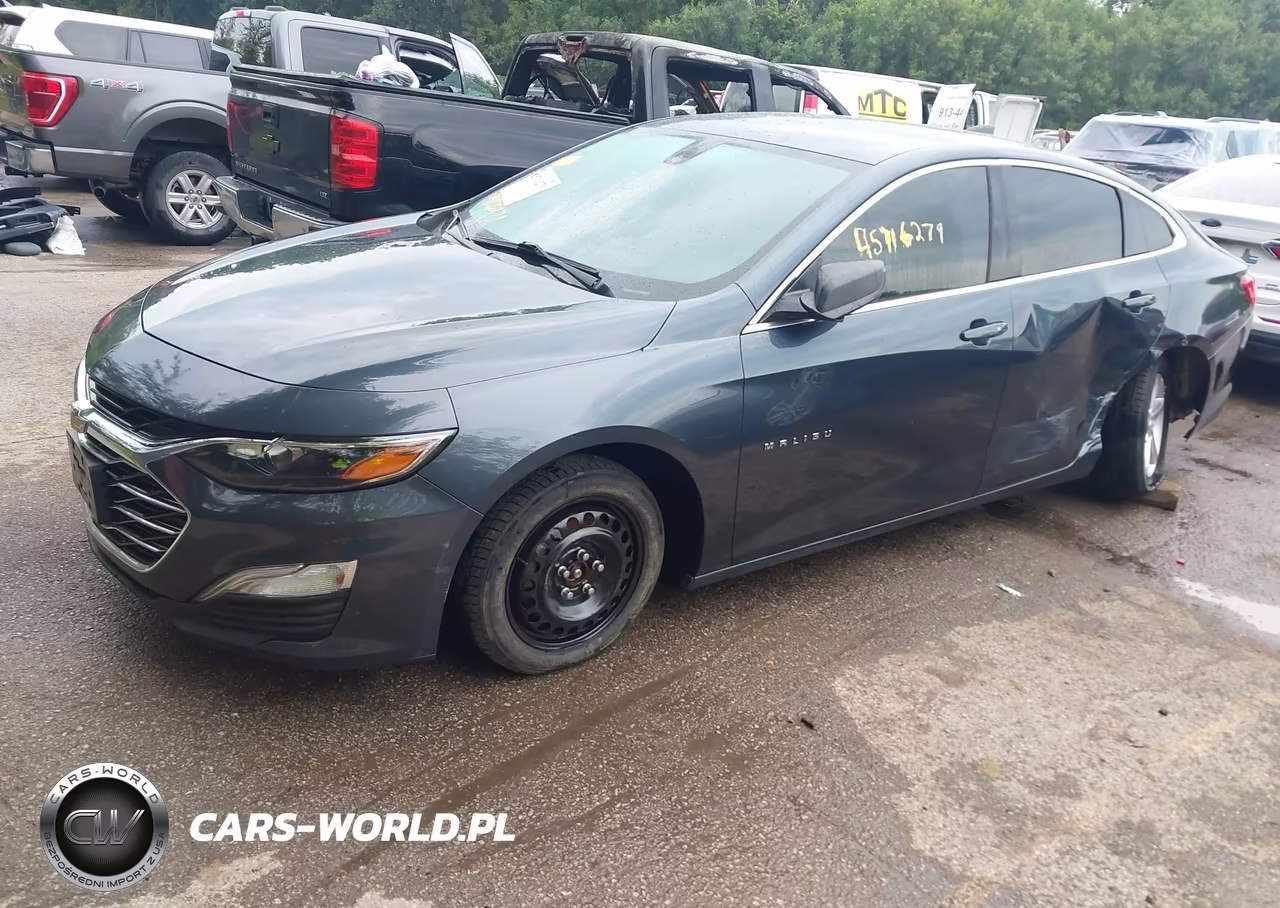 2019 Chevrolet Malibu 1Fl VIN:1G1ZC5ST0KF179653 - 2